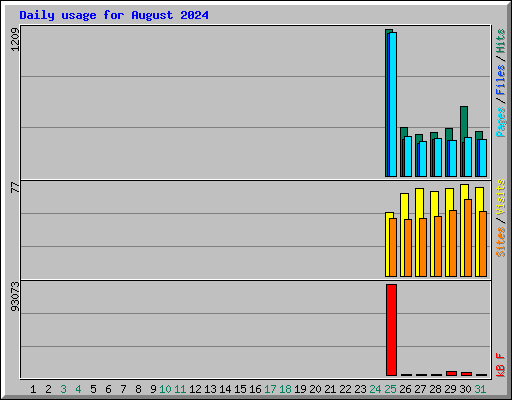 Daily usage for August 2024