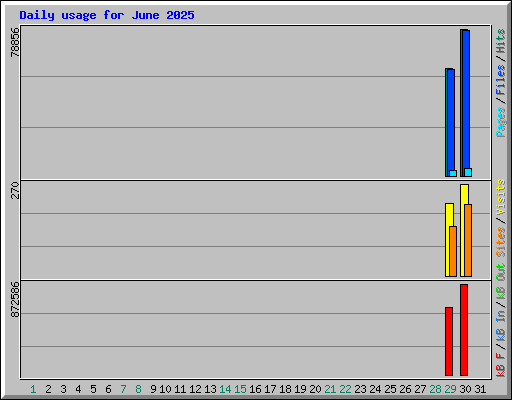 Daily usage for June 2025