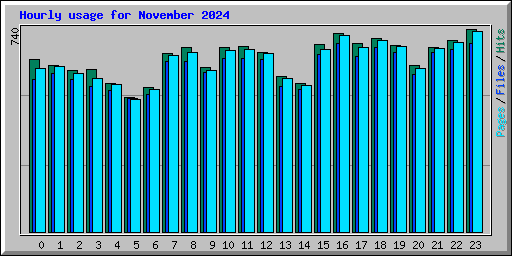 Hourly usage for November 2024