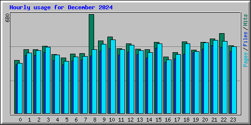 Hourly usage for December 2024