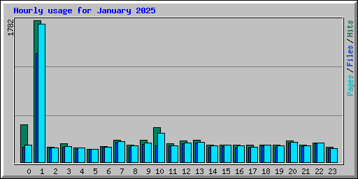 Hourly usage for January 2025