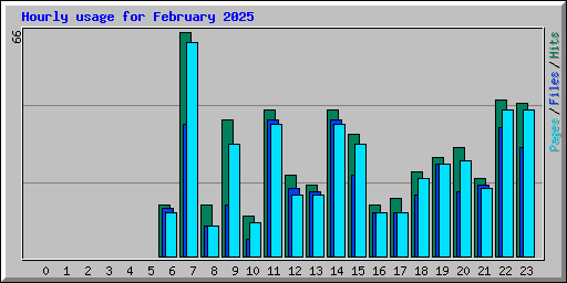 Hourly usage for February 2025