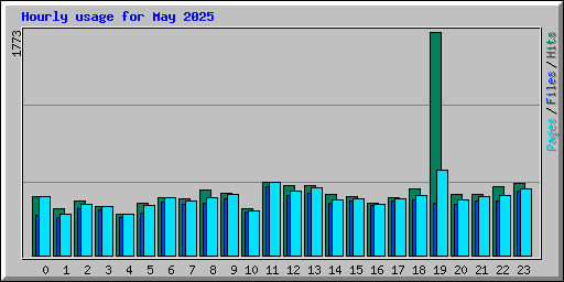 Hourly usage for May 2025