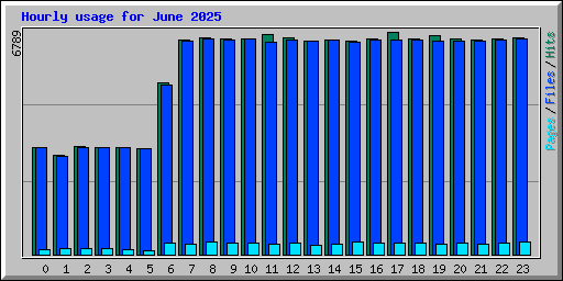 Hourly usage for June 2025