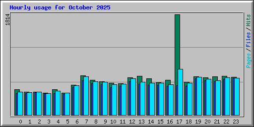 Hourly usage for October 2025