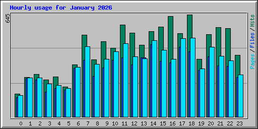 Hourly usage for January 2026