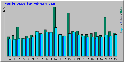 Hourly usage for February 2026